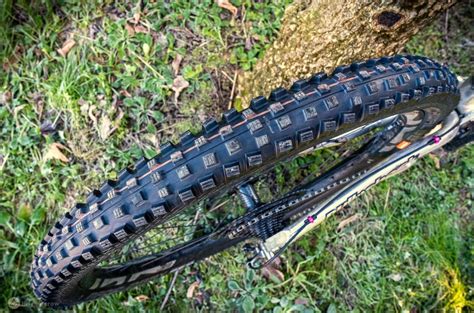 Unlocking the Versatility of Schwalbe Magic Mary 2q: Ideal for All Mountain Adventures